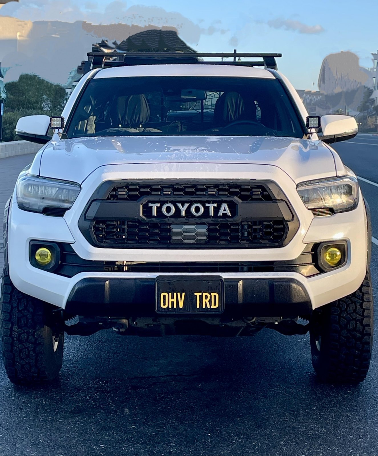 Taco 23.jpg