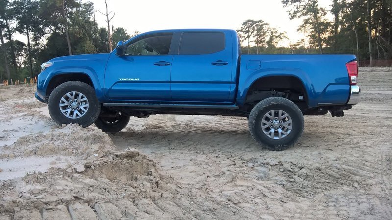 Taco 3.jpg