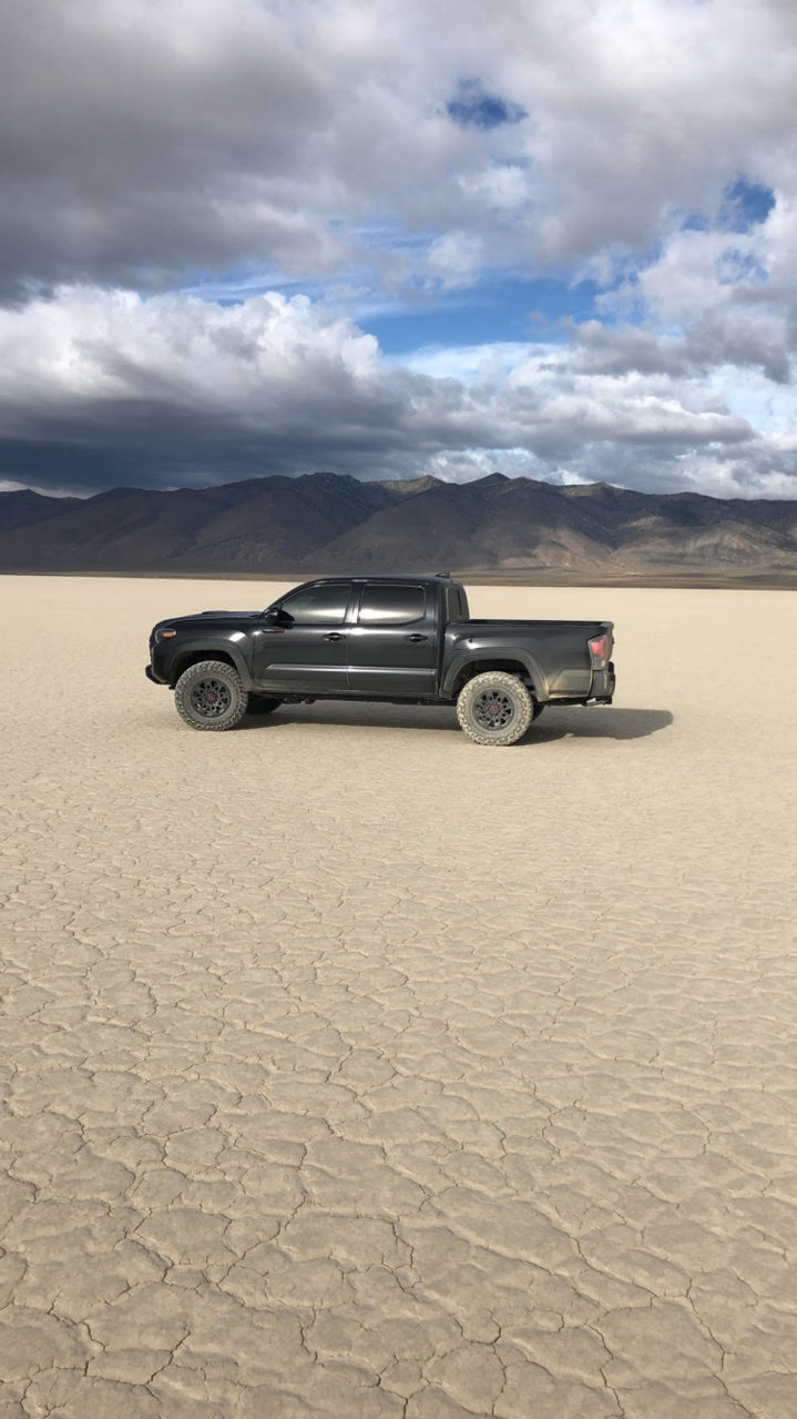 Taco 3.jpg