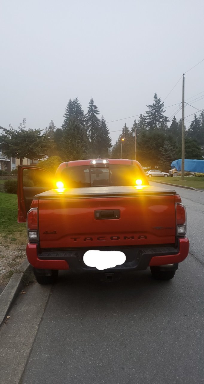 taco 4.jpg