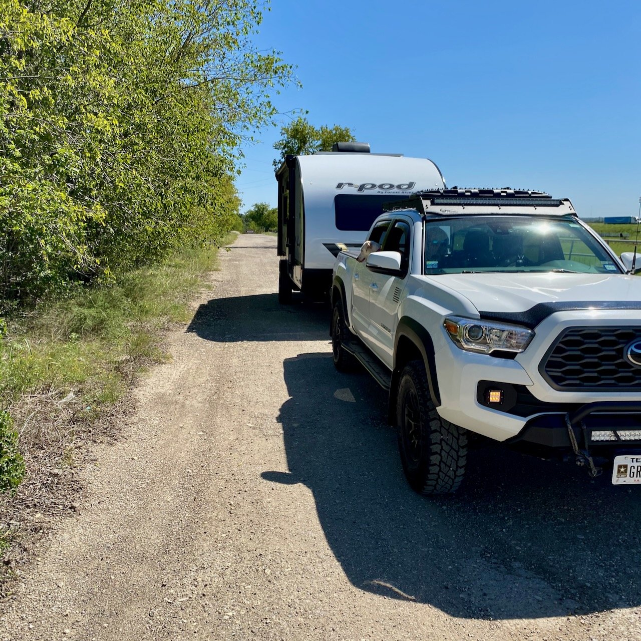 Taco - 4 of 8.jpg