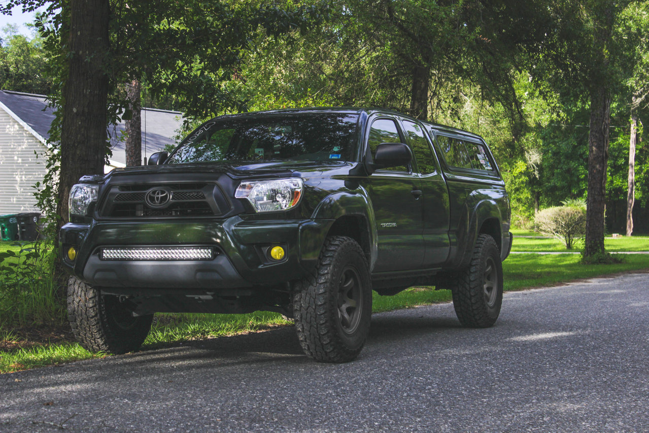 Taco-41.jpg