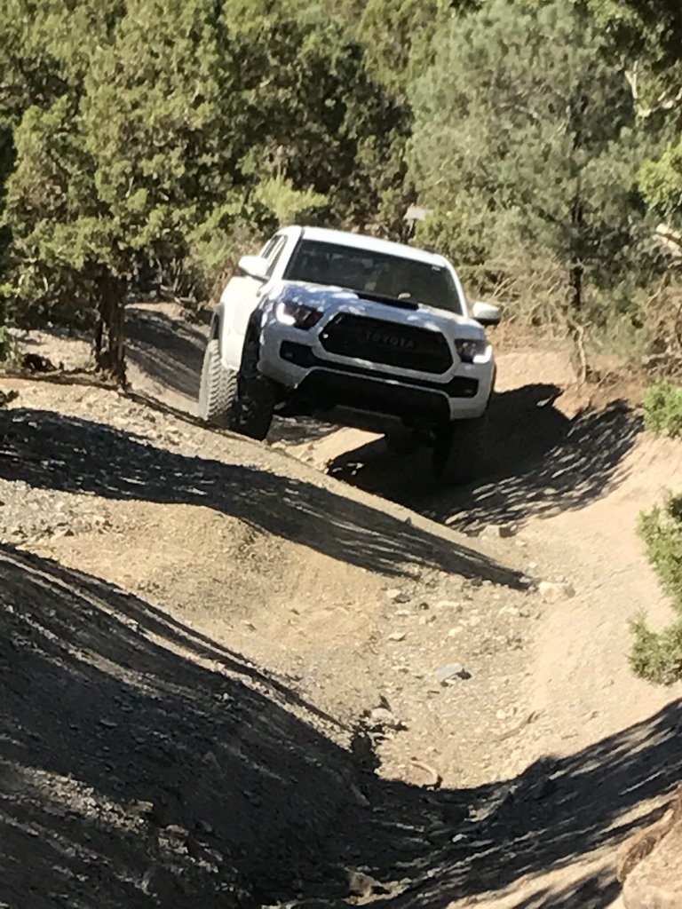 Taco 5 Mile_11.jpg