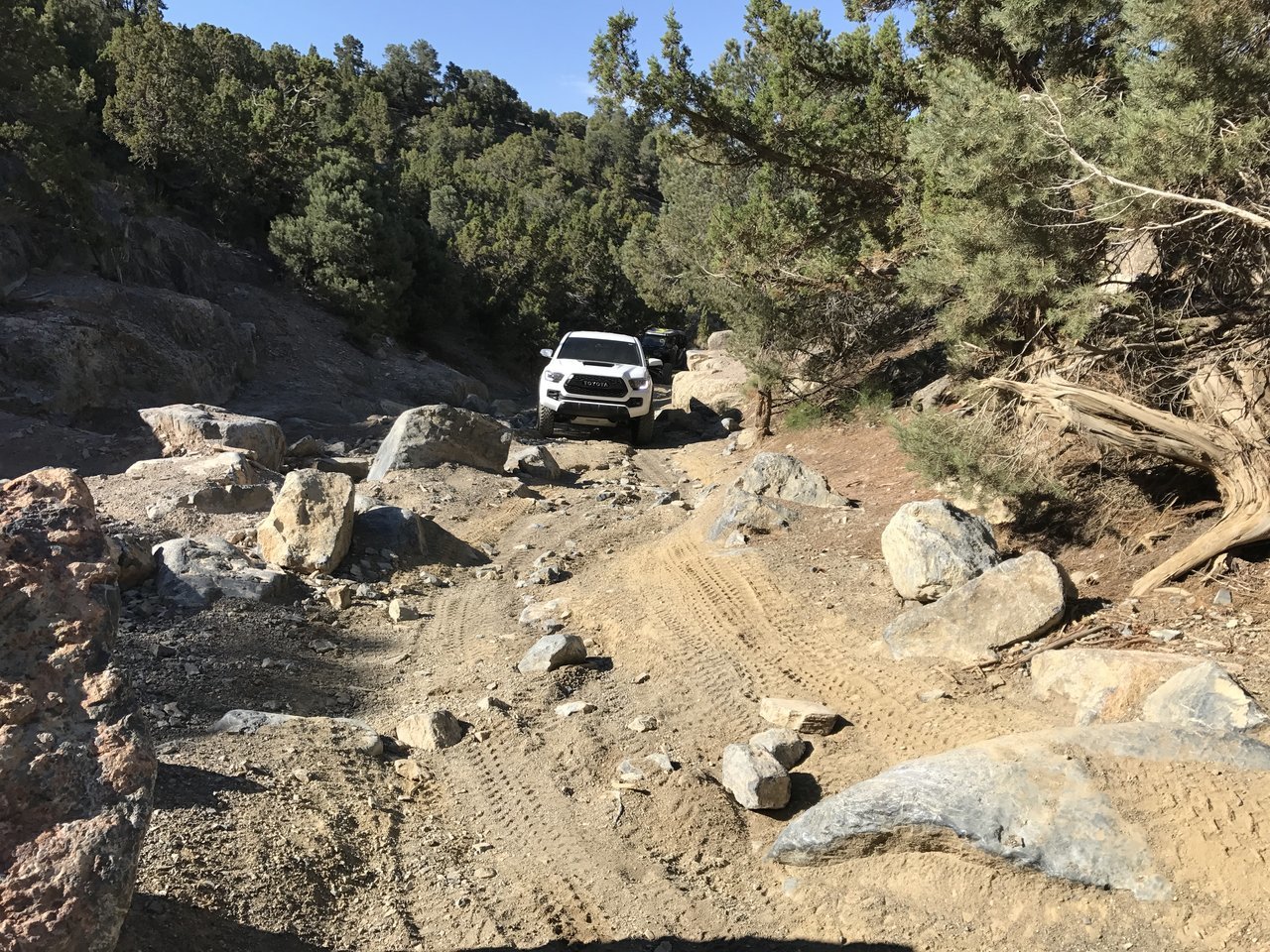Taco 5 Mile_4.jpg