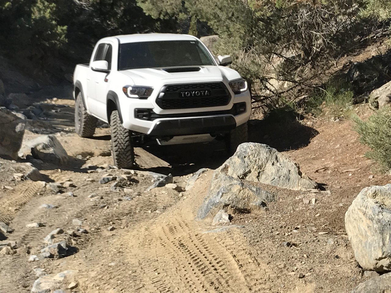 Taco 5 Mile_5.jpg