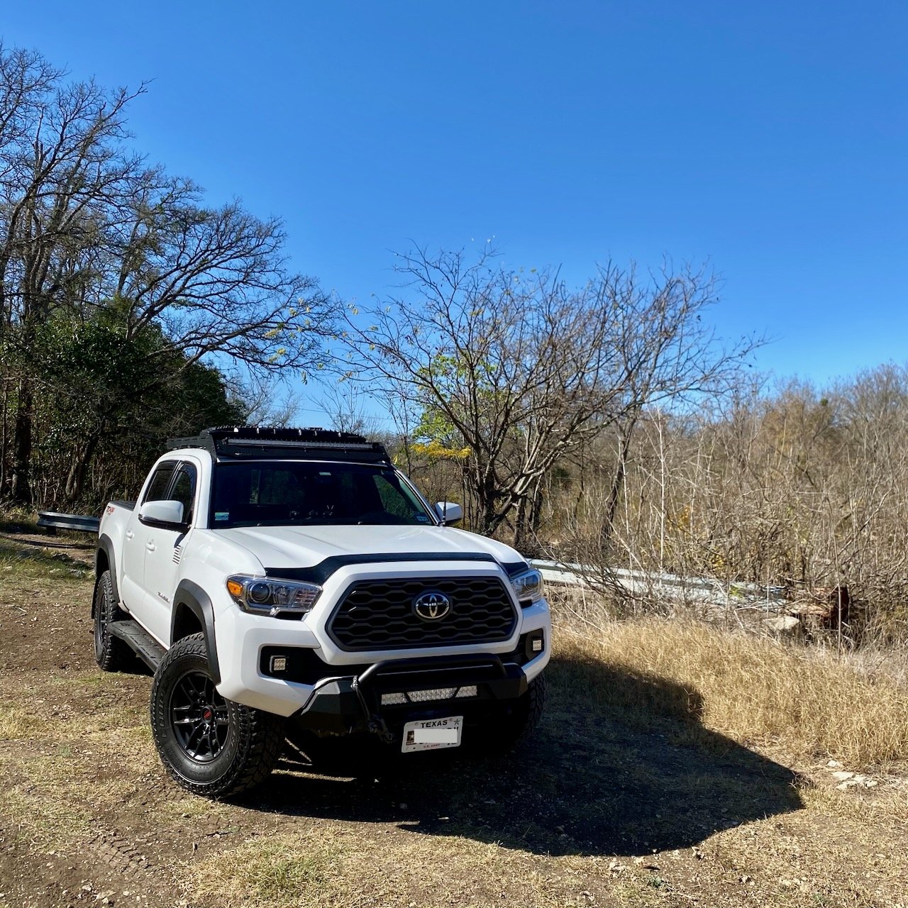 Taco - 7 of 8.jpg