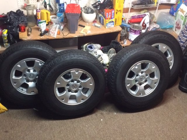 taco alloys.jpg