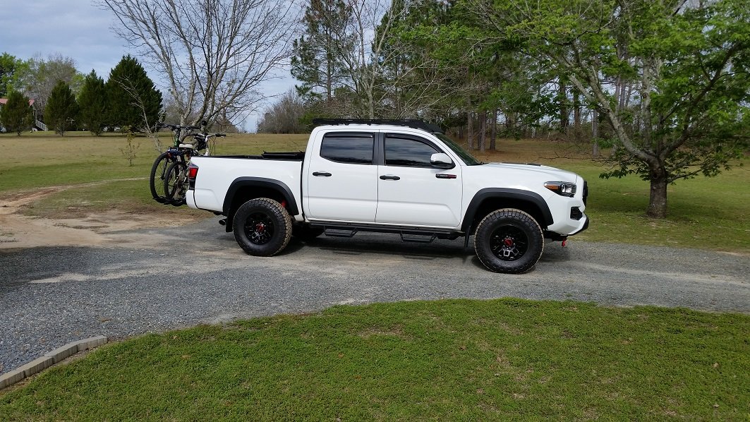 Taco and bikes.jpg