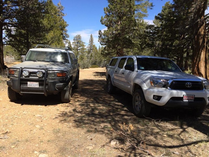 taco and fj bb.jpg