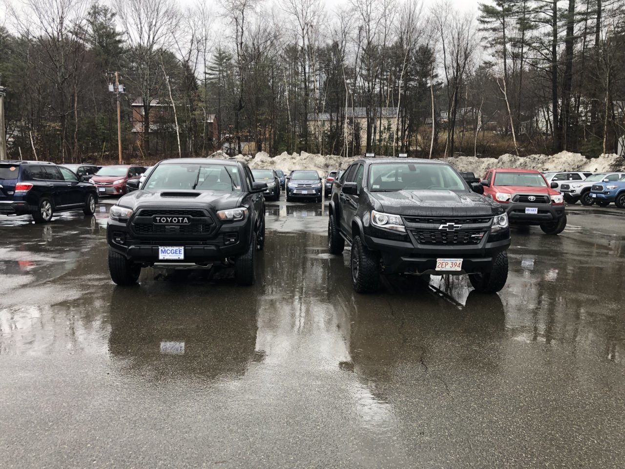 Taco and ZR2.jpg