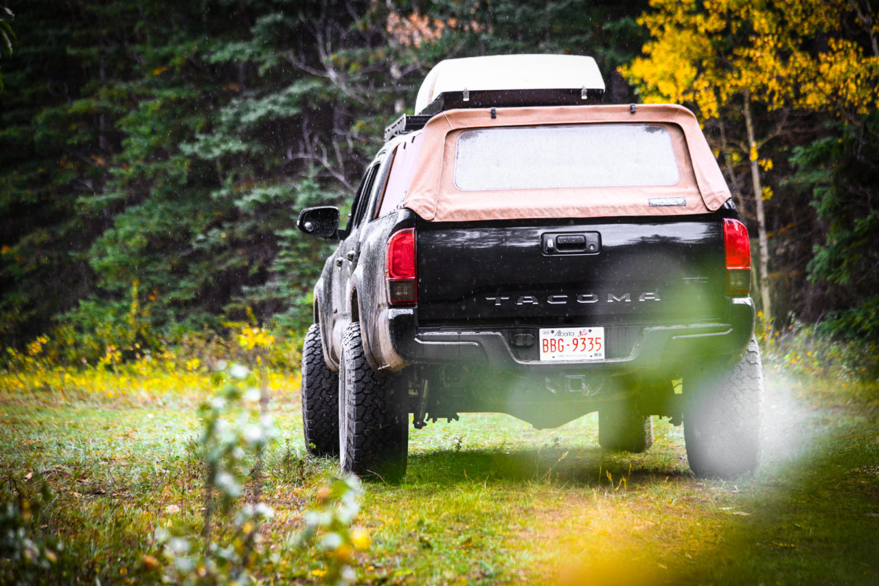 TACO ASS HORZ (1 of 1).jpg