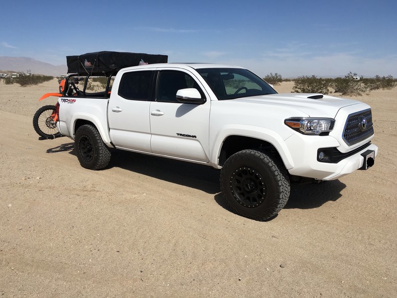 Taco At the Desert.jpg