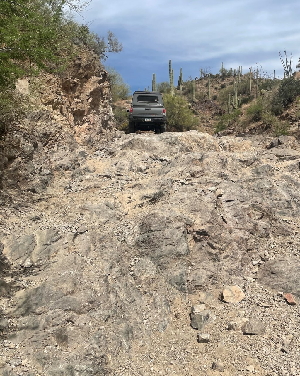Taco at Top Waterfall 2022-04-19-1 Box Cyn Florence.jpg
