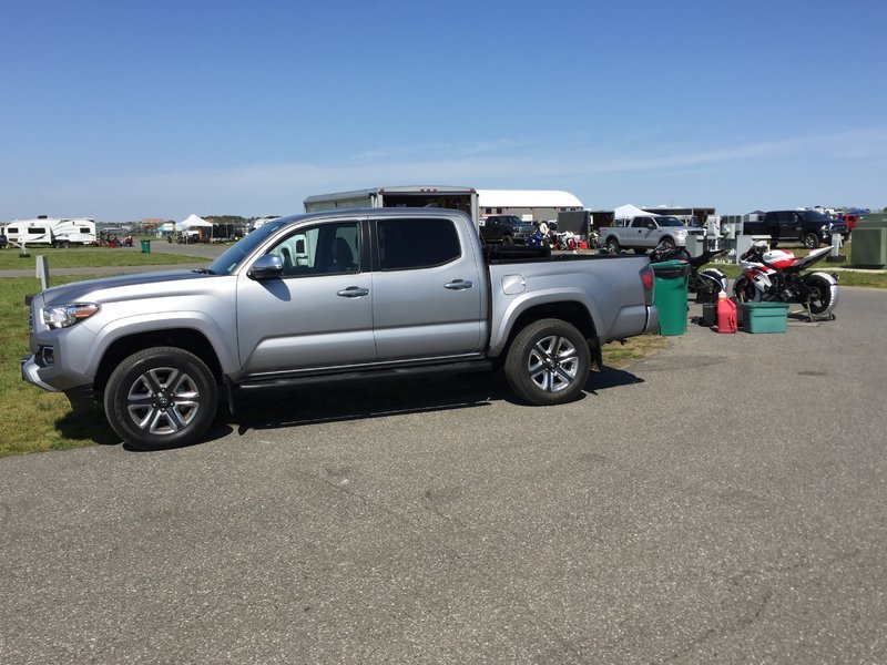 Taco at track.jpg