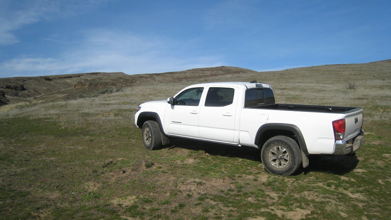 Taco at Yakima River ridge.jpg