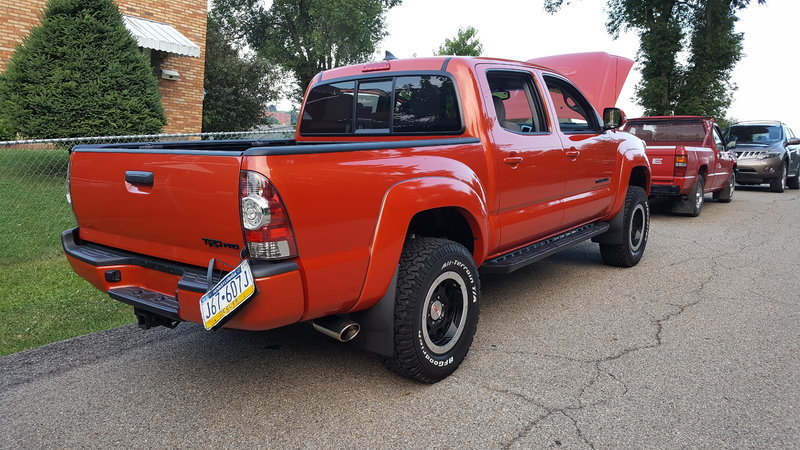 taco back.jpg