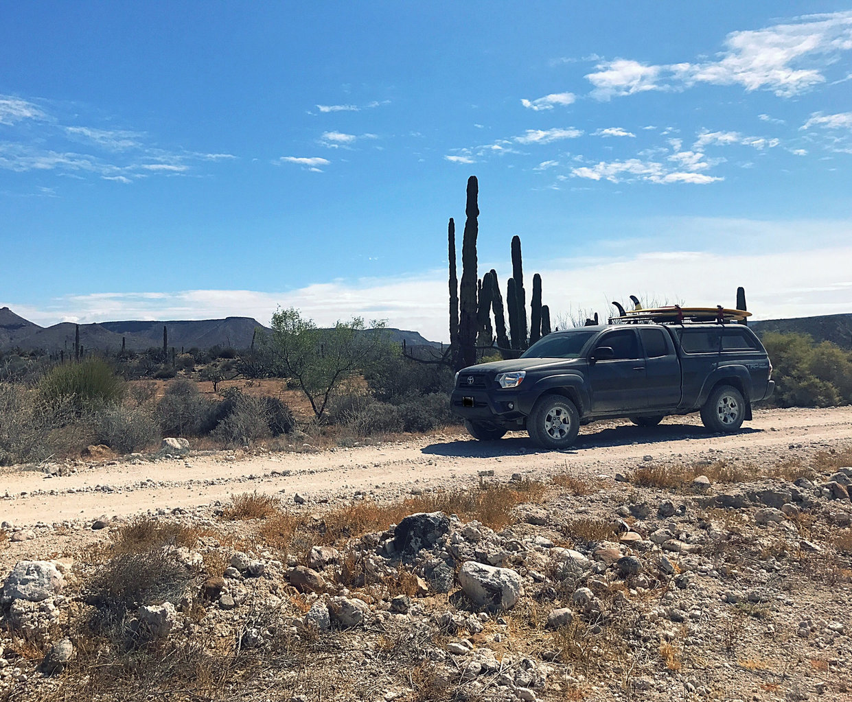 TACO-BAJA1.jpg