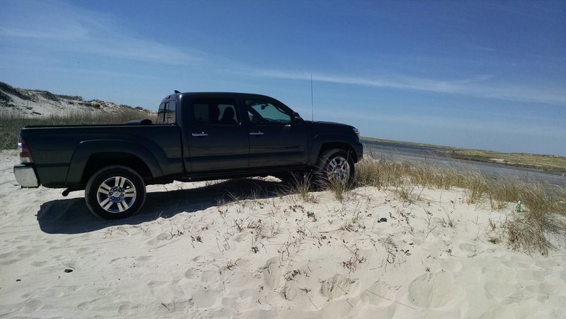 Taco Beach.jpg