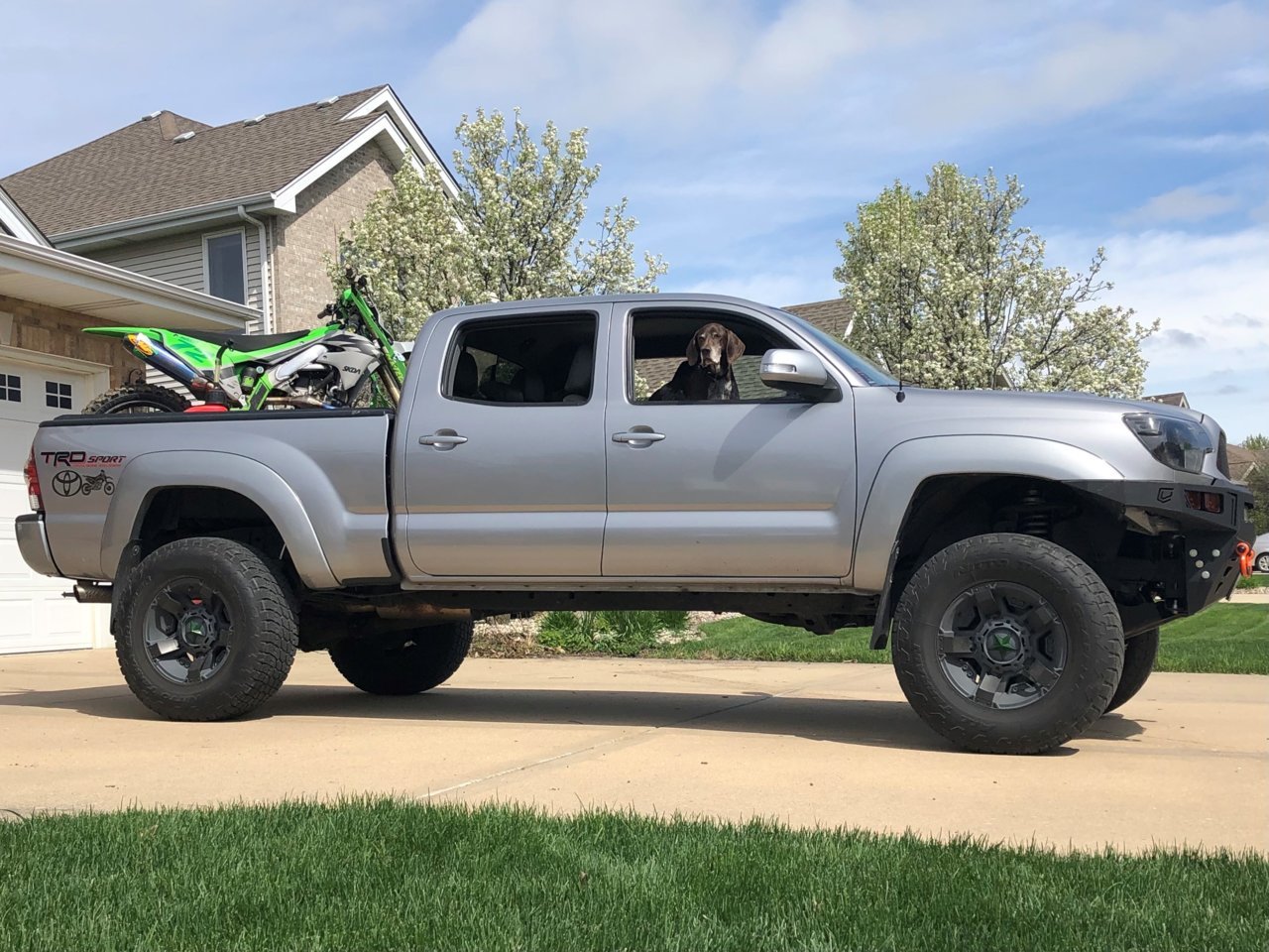 taco bike.jpg