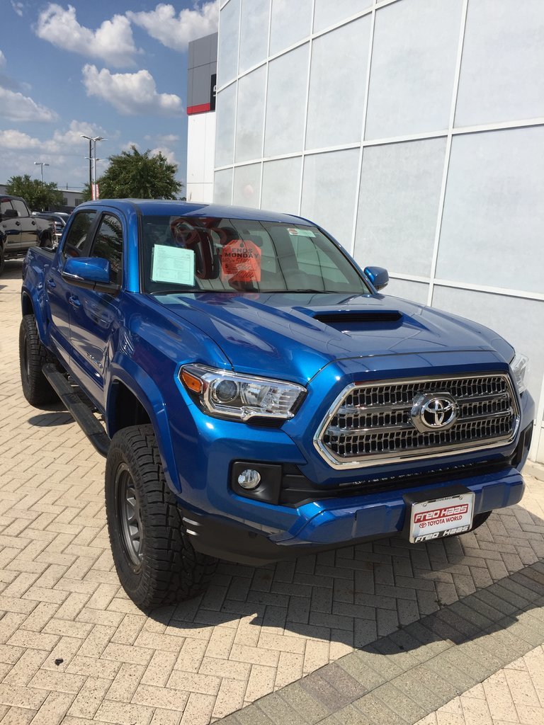 Taco blue.jpg