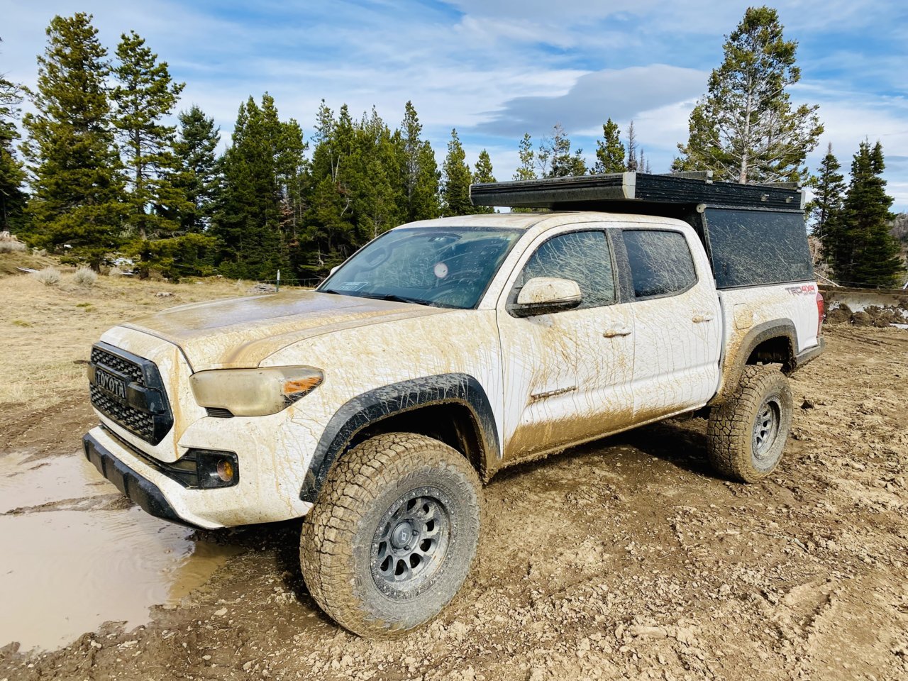 Taco Bridgers MUD.jpg