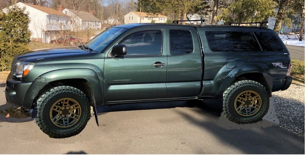 taco bronze new.jpg