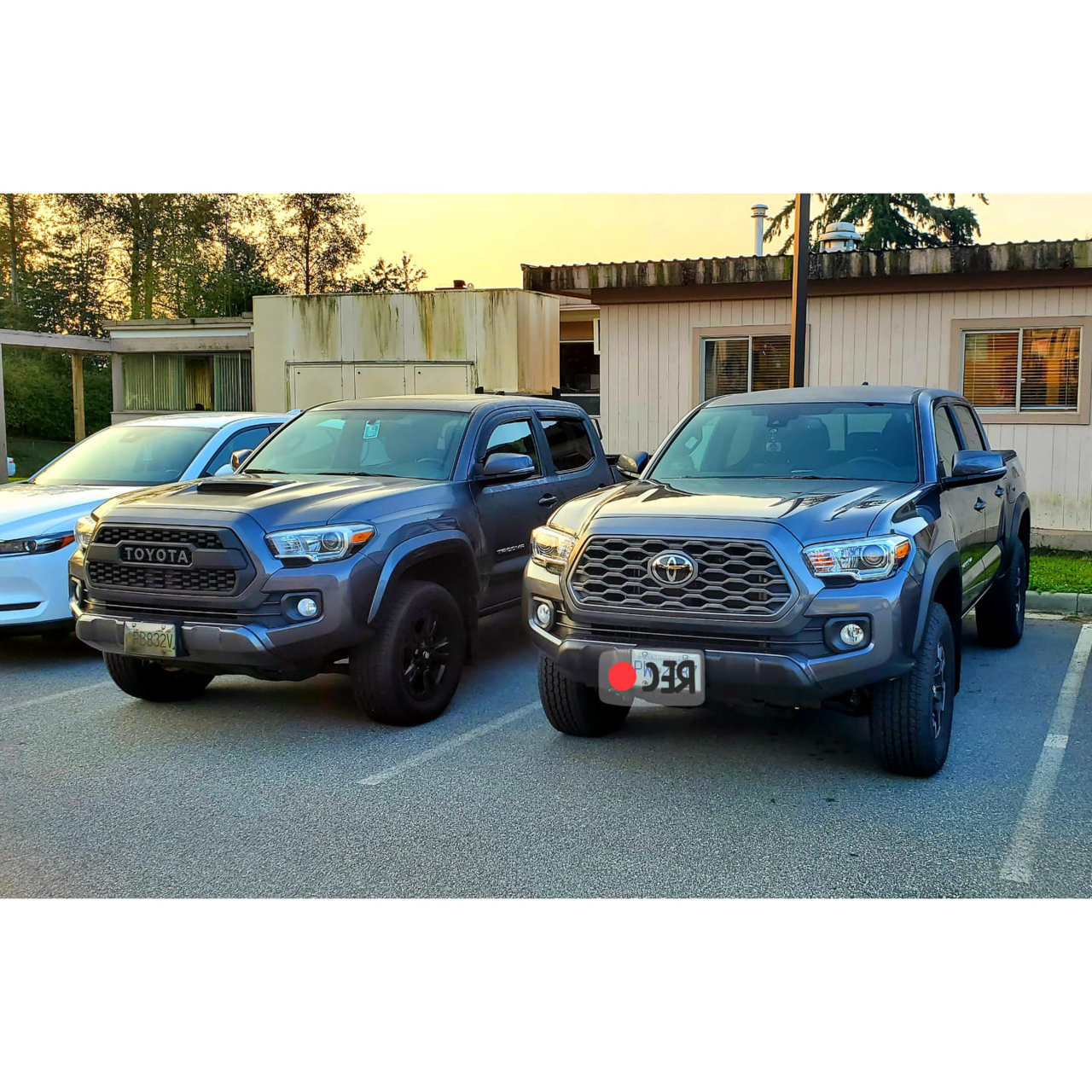 Taco Bros.jpg