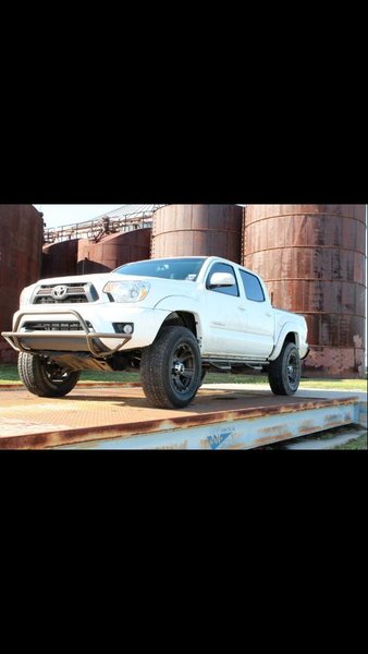 taco bumper.jpg