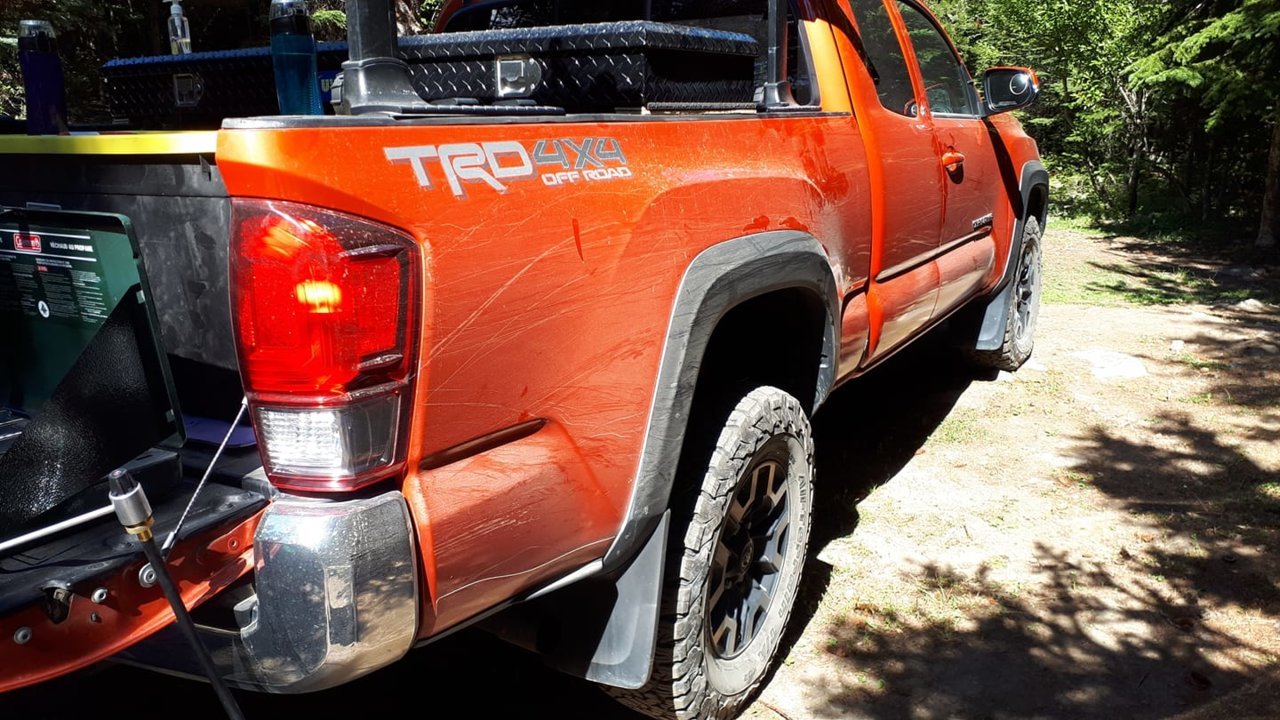 taco-bushscratches.jpg