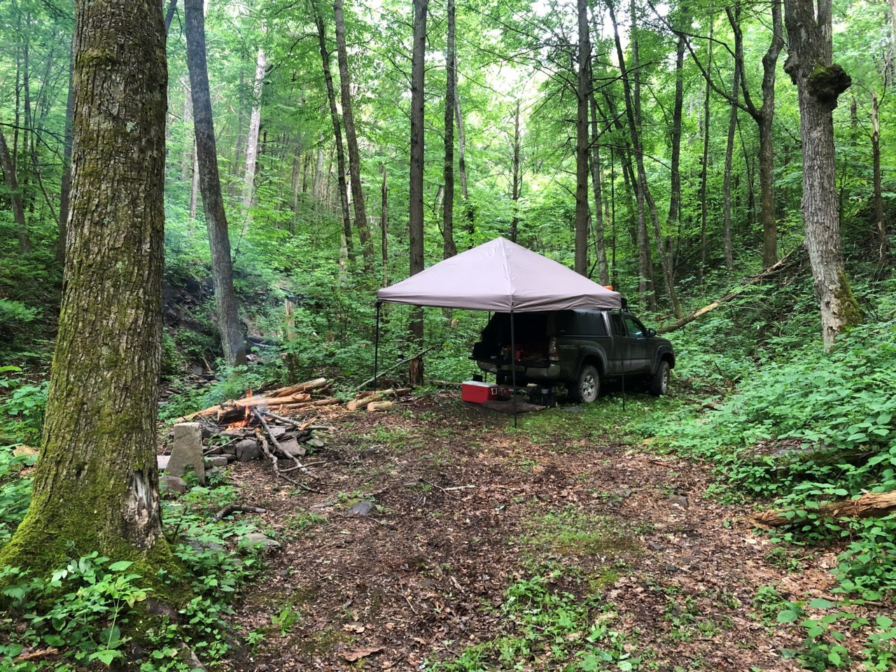 taco camp.jpg