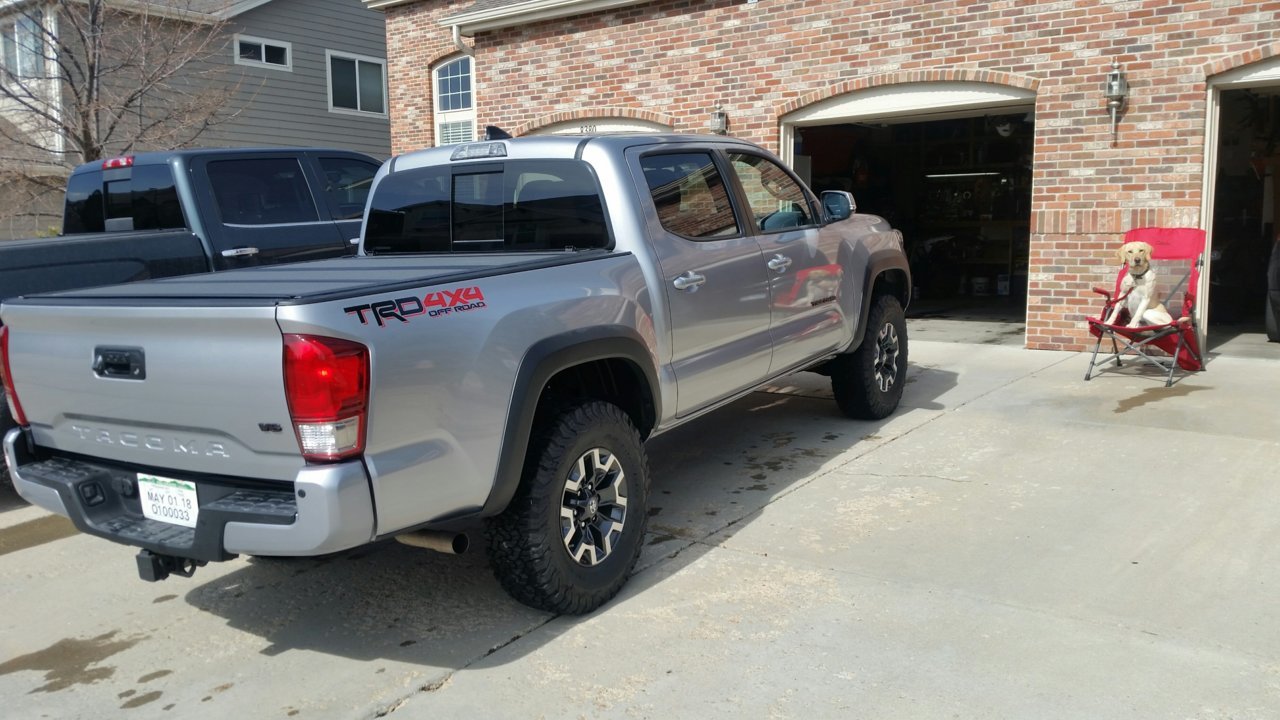 taco clean 1.jpg