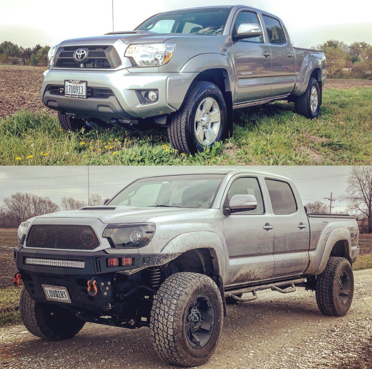 taco compare.jpg
