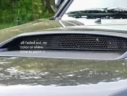 taco faded scoop.jpg
