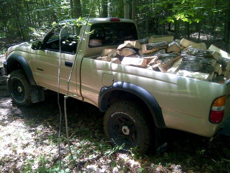 taco firewood.jpg