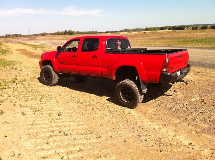 Taco Flex.jpg