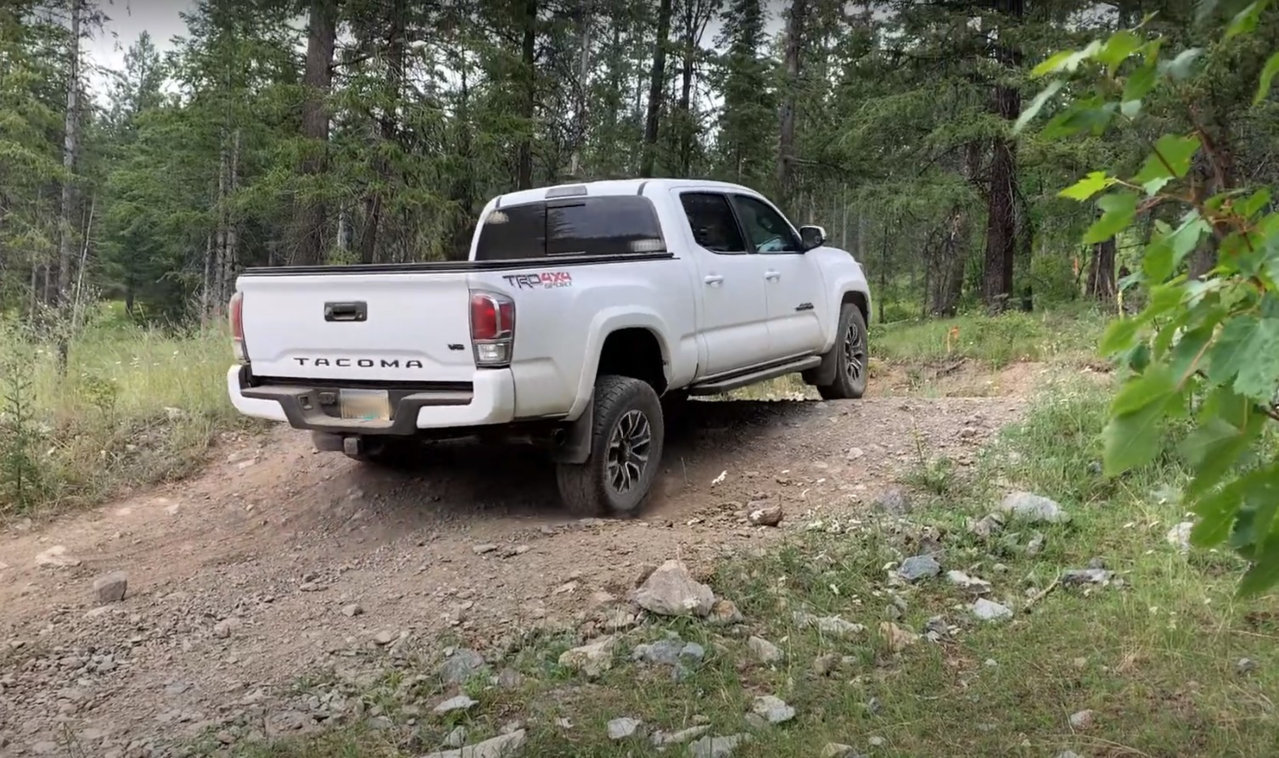 Taco Flex.jpg