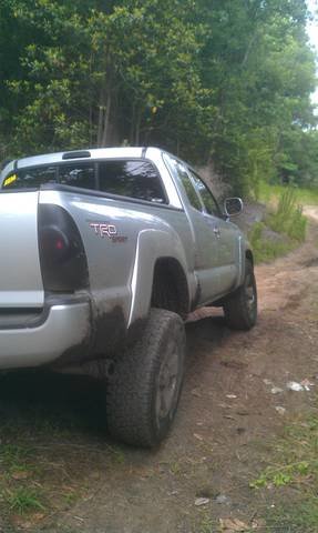 taco flexing 2.jpg