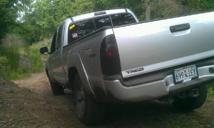 taco flexing.jpg