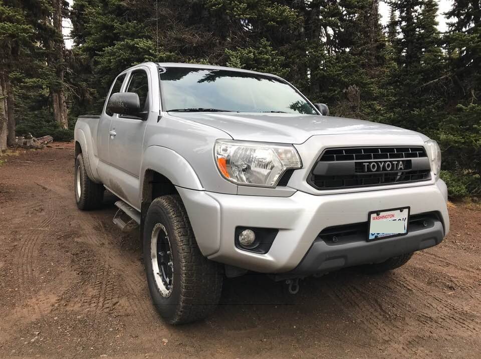 taco forest.jpg