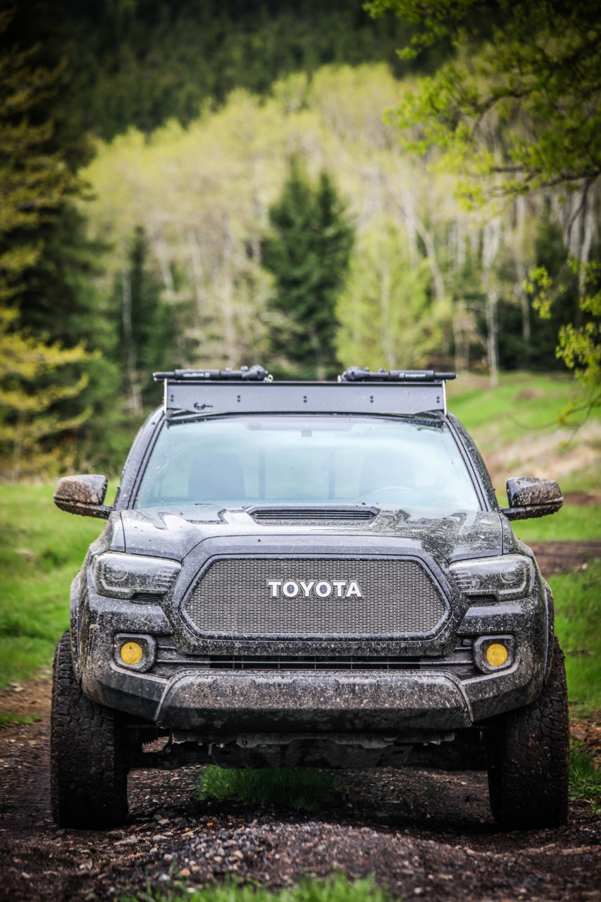 TACO FRONT (1 of 1)-2.jpg