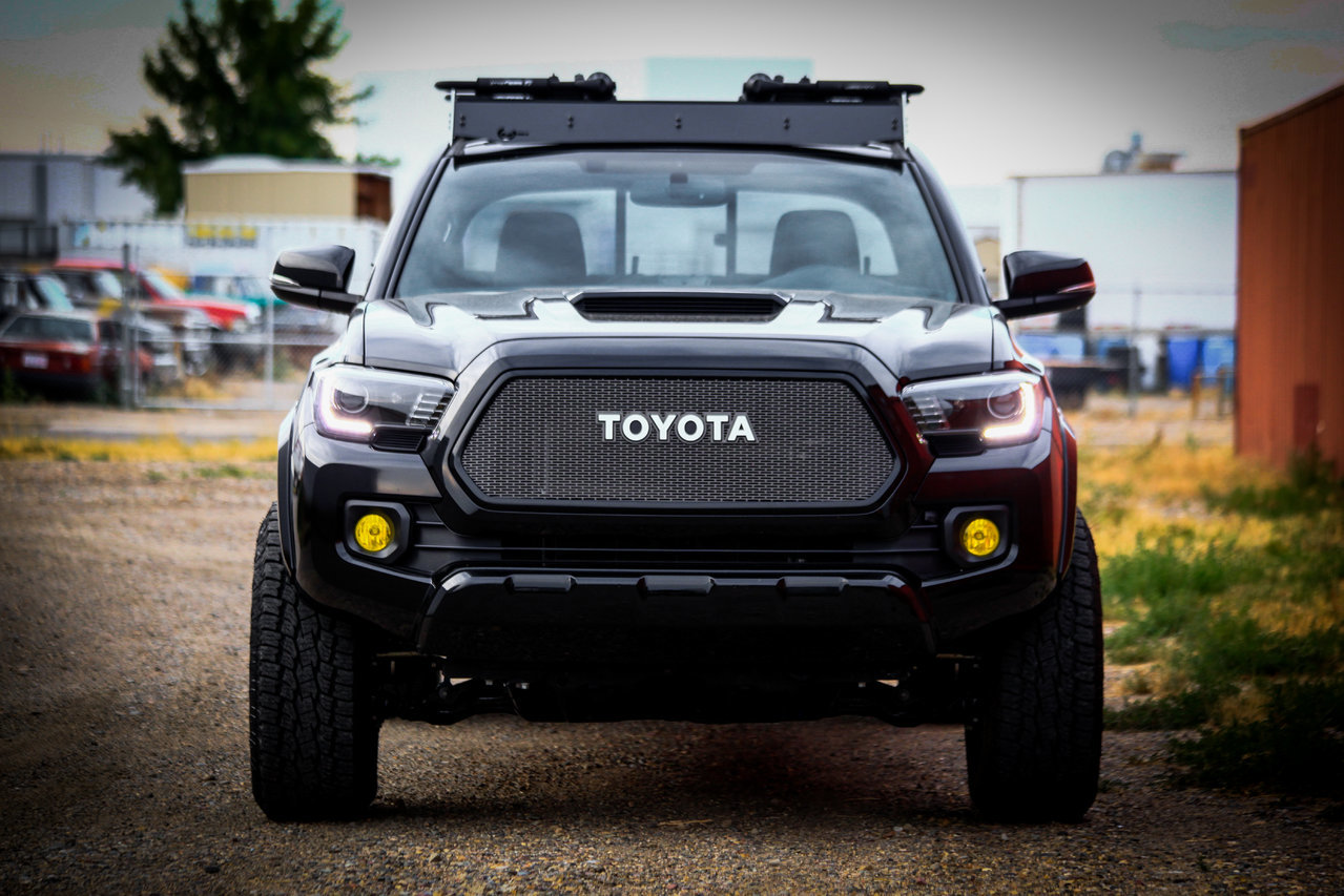 TACO FRONT (1 of 1).jpg