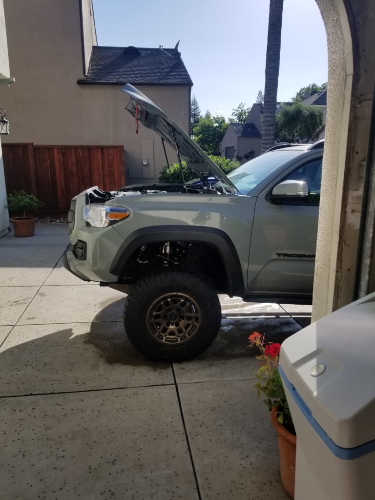 tACO fRONT 1.png
