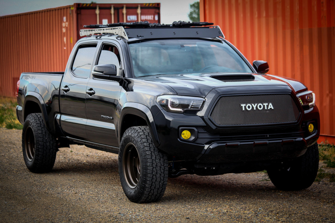 TACO FRONT ANGLE (1 of 1).jpg