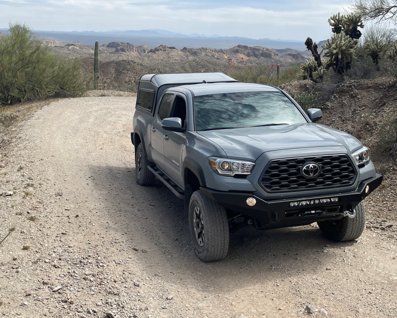 Taco Heading Out Cyn 2022-04-19-1 Box Cyn Florence.jpg