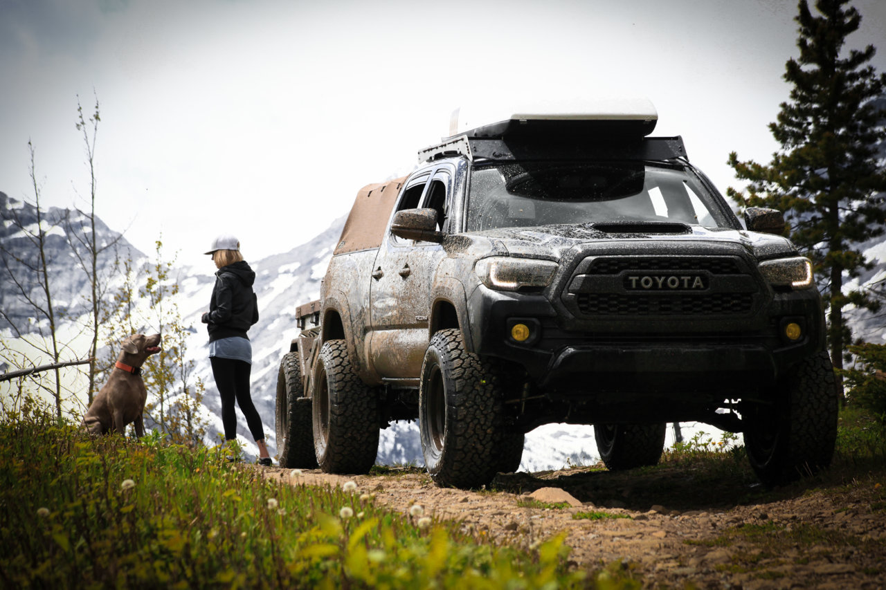 TACO HORZ ASH BANE FRONT (1 of 1).jpg