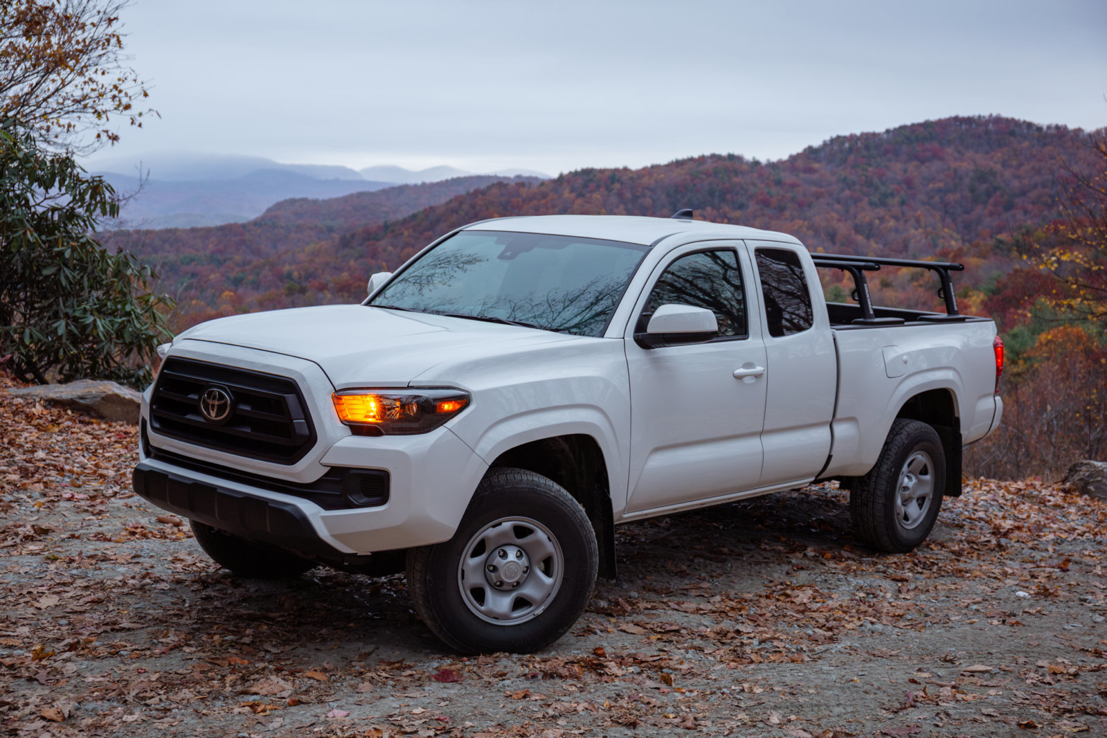Taco HP -2.jpg