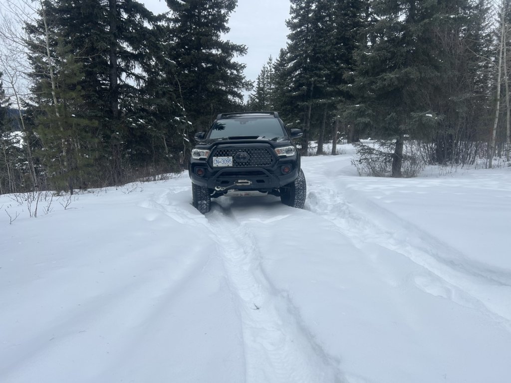 taco ice fishing4.jpg