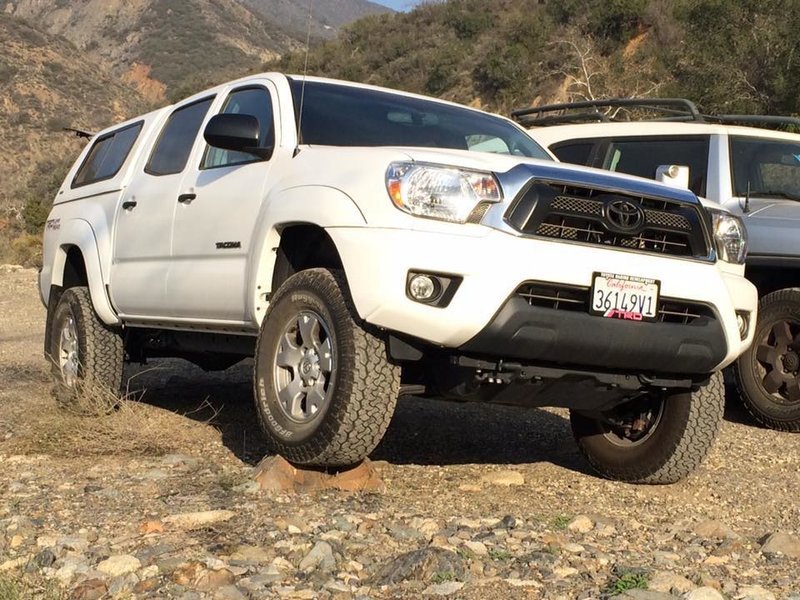 Taco in HJ day after lift.jpg