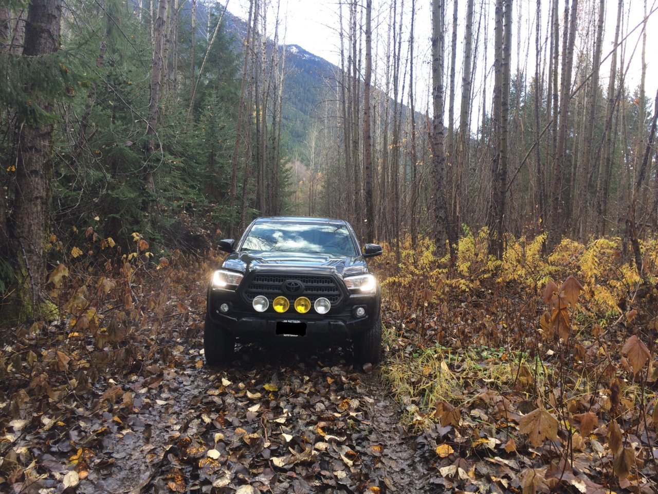 Taco-in-Pemberton_dbc97a5a88c288e19b5846ade03f69bd0c783b2a.jpg