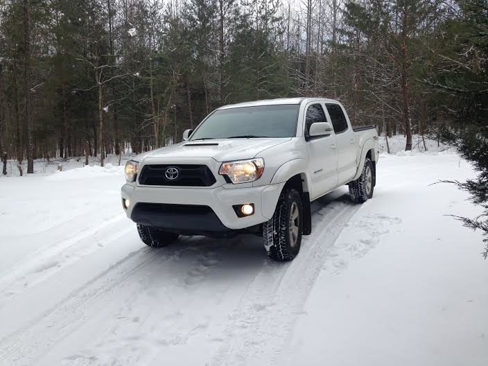 taco in the snow 1-23-16.jpg